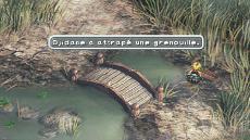 ChasseALaGrenouille-4