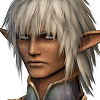 Avatars-FF11-FFFury.gif