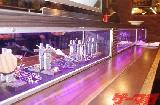 mini_25012010-3