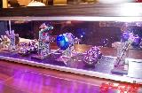 mini_25012010-4