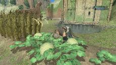 Test image 21