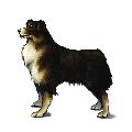 FF8-FFFury (344).jpg