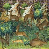 Les_creatures_de_l_esprit_gaia_source_de_vie-15.jpg